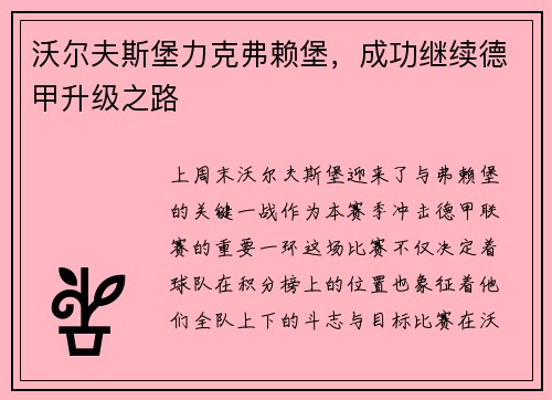 沃尔夫斯堡力克弗赖堡，成功继续德甲升级之路